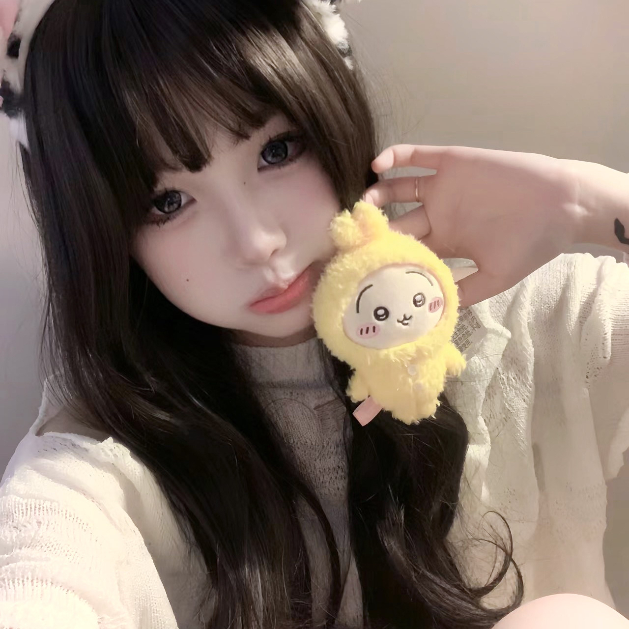 King Charles Cavalier