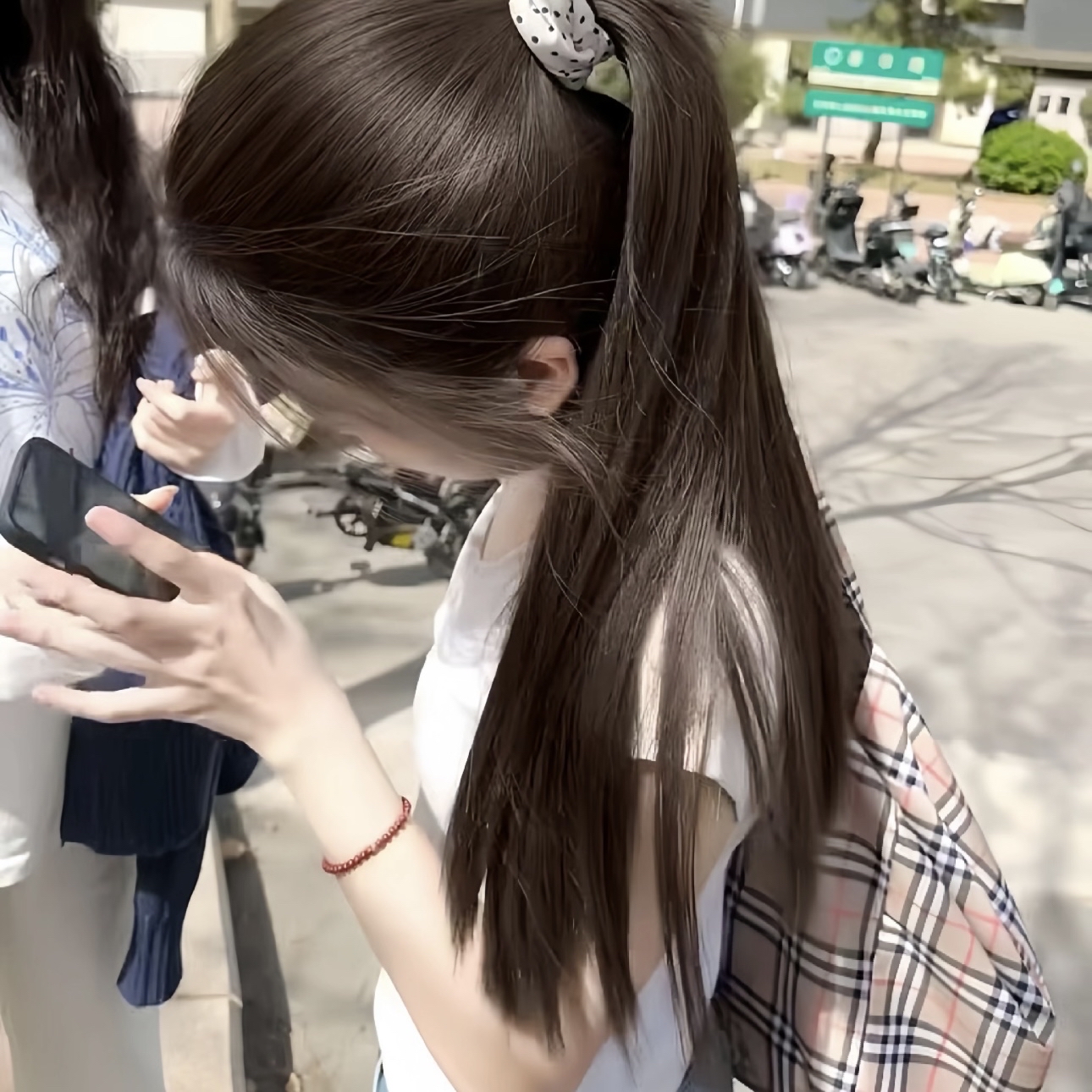 Staffordshire Bull Terrier